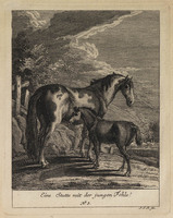 KG 01078
          <br/>
          Entwurf einiger Pferde. Sechster Theil. (18 bladen)
          <br/>
          <em>Ridinger, Johann Elias (1698-1767)</em>